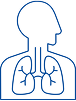 Explore Anatomy