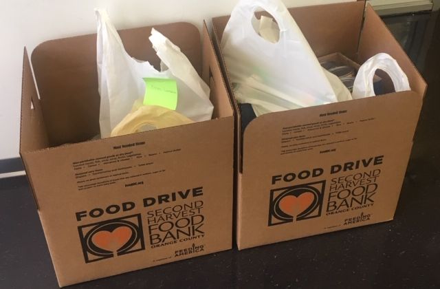 ACC Campuses Combine To Donate Over 2,500 Pounds for November Food Drive Galley