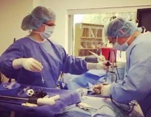 ACC-Ontario Surgical Technology Graduate Taking Next Step in Medical Journey Gallery